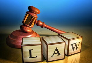 222只白胸翡翠鳥慘遭剖腹取臟 殘忍獵殺背后，法律與生態(tài)之殤